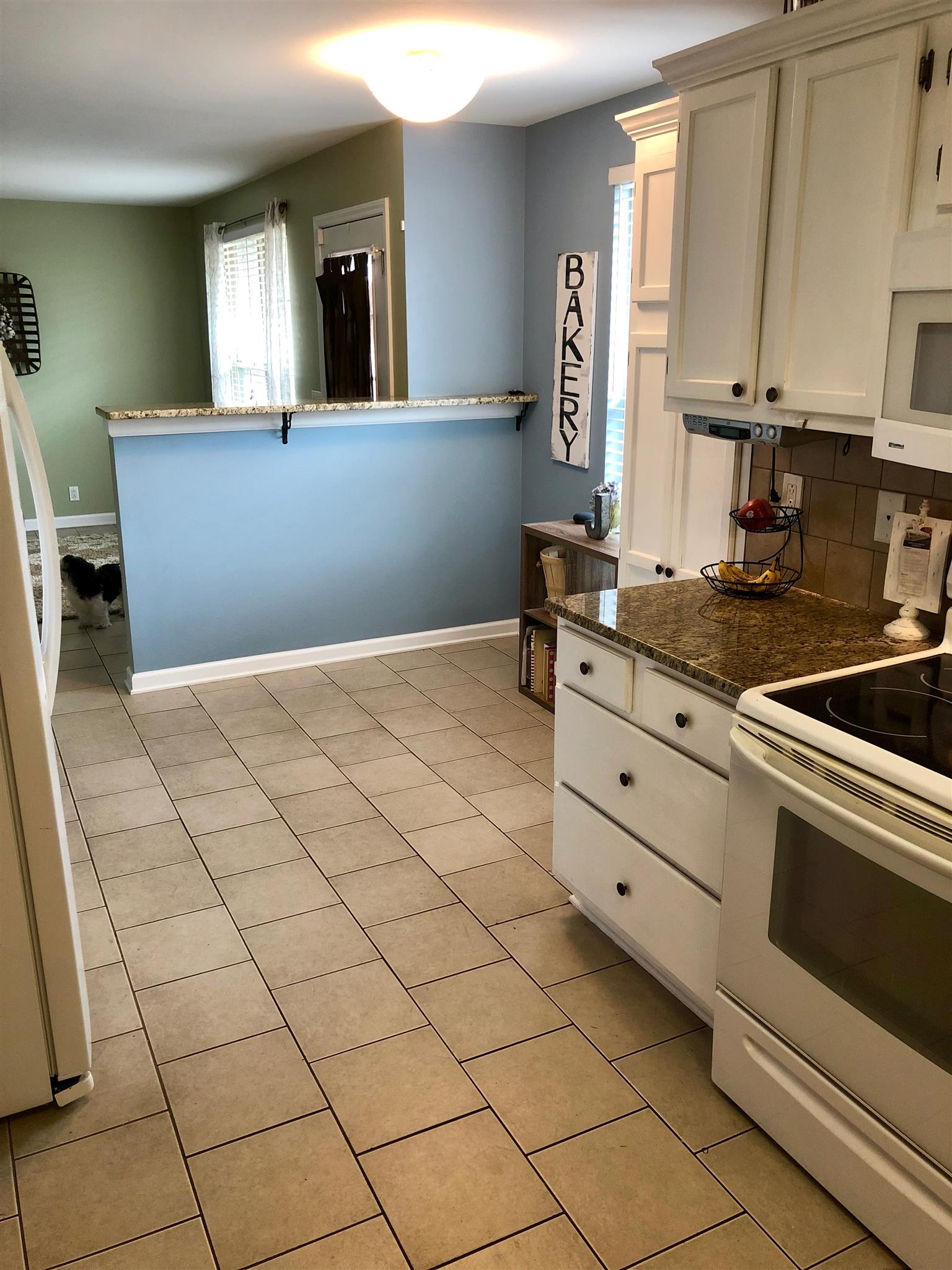 1108 General George Patton Road Nashville, TN 37221 - Photo 10 of 22