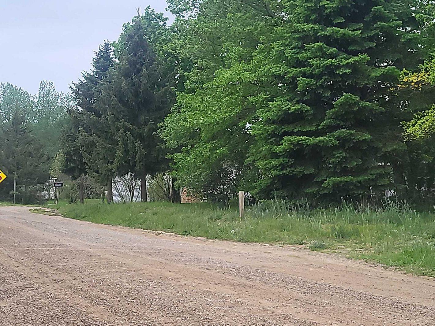 5971 Baseline Road Grand Junction, MI 49056 - Photo 8 of 19 07