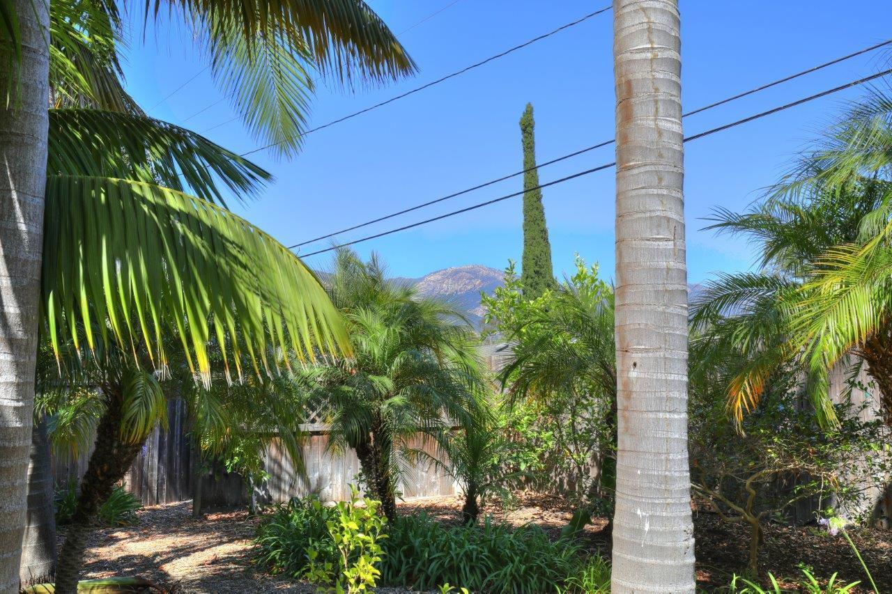 3713 Hitchcock Ranch Road Santa Barbara, CA 93105 - Photo 28 of 28 a view of a palm plant that is in front of a building