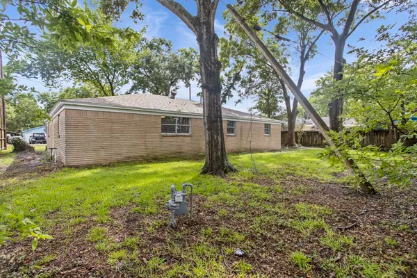 a backyard of a house with plants and large tree