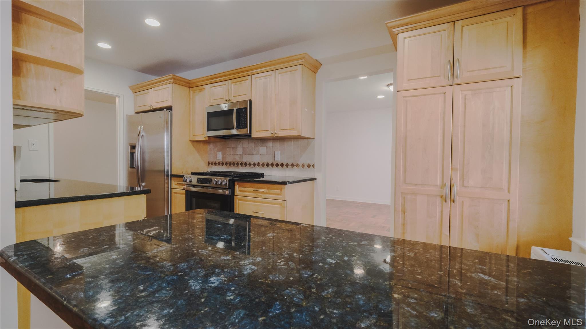 20 Canterbury Road, Unit 1P Great Neck, NY 11021 - Photo 8 of 28 Renovated Kitchen