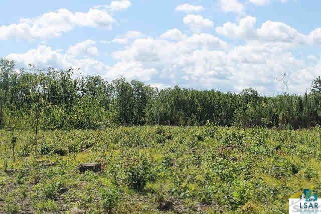 0 Ferguson Road Solon Springs, WI 54873 - Photo 3 of 4