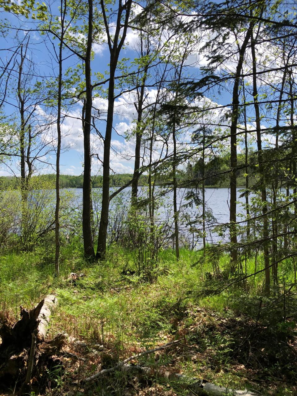 Lot 2 Kling Road Presque Isle, WI 54557 - Photo 12 of 18 Gallery Image 12