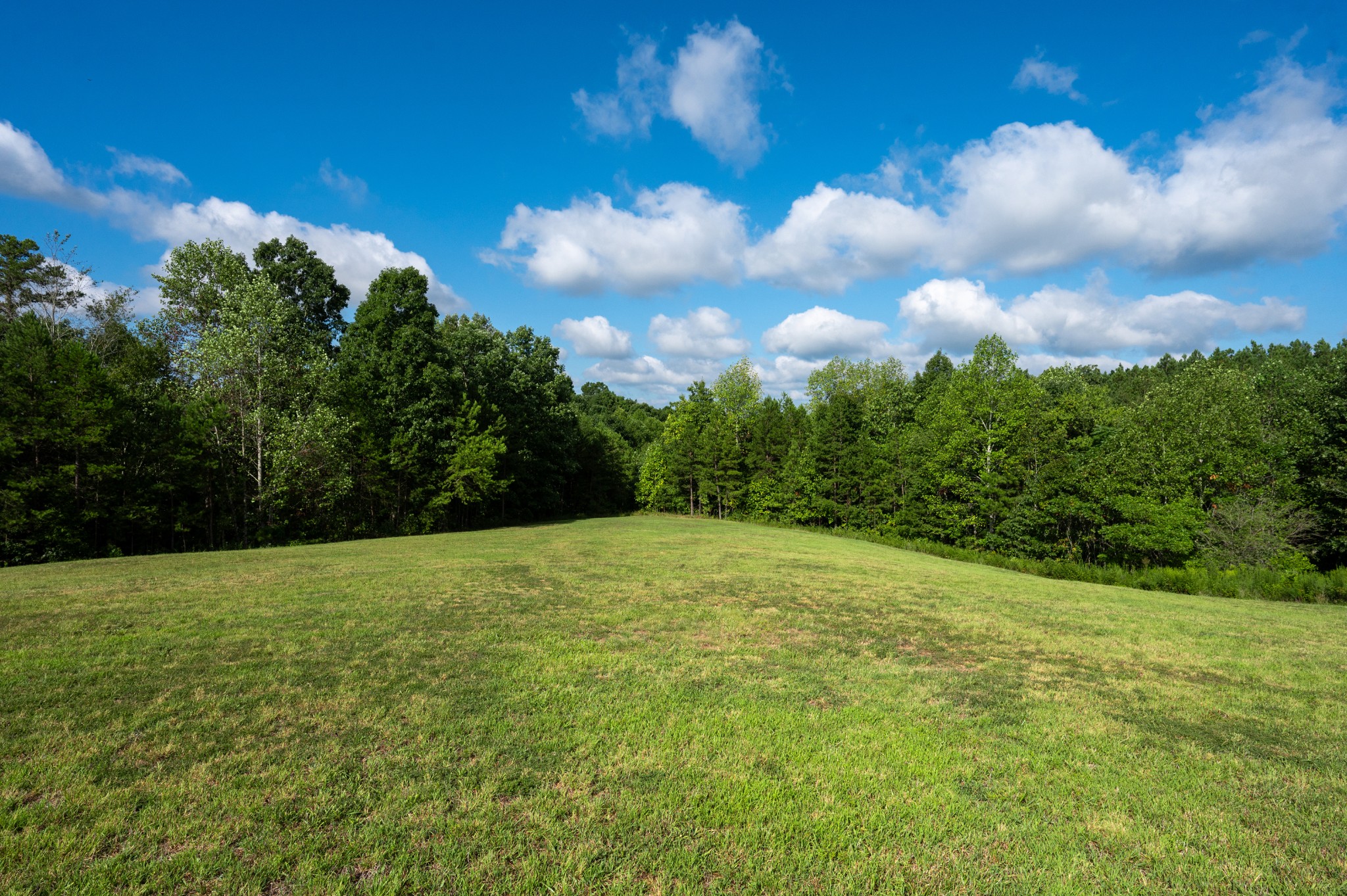 1395 New Kimmins Road Hohenwald, TN 38462 - Photo 35 of 47