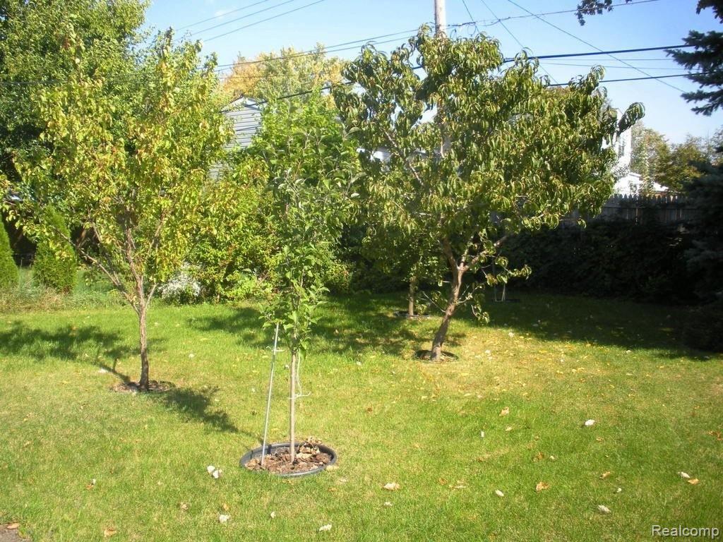 4870 Shell Court Warren, MI 48091 - Photo 19 of 25 Back Yard Summer