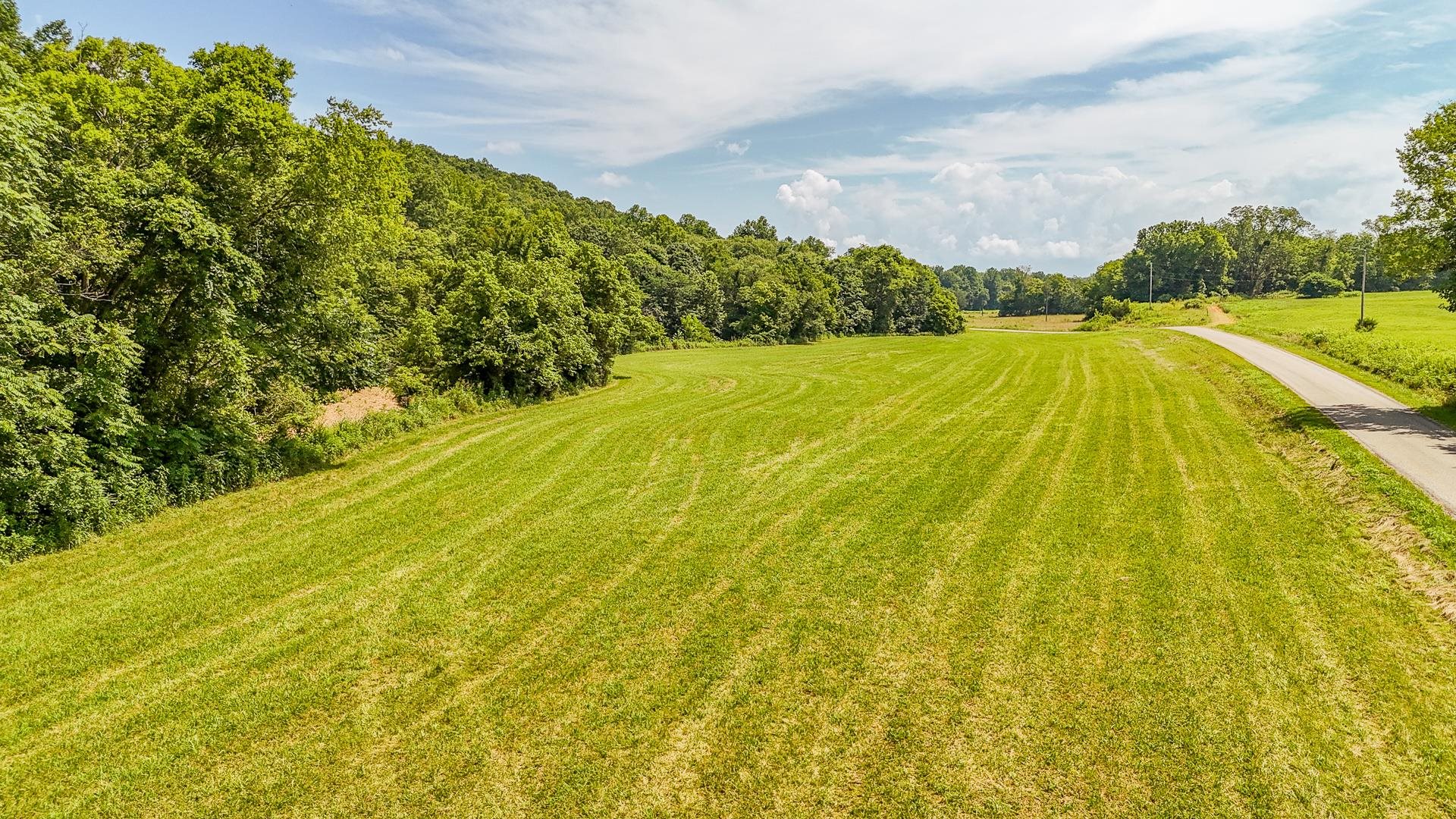 2245 Big Ivy Road Savannah, TN 38372 - Photo 20 of 39