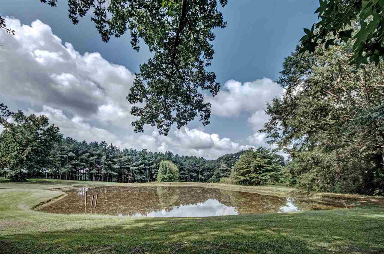 172 Charlie White Road Pelahatchie, MS 39145 - Photo 5 of 38 Photo 6