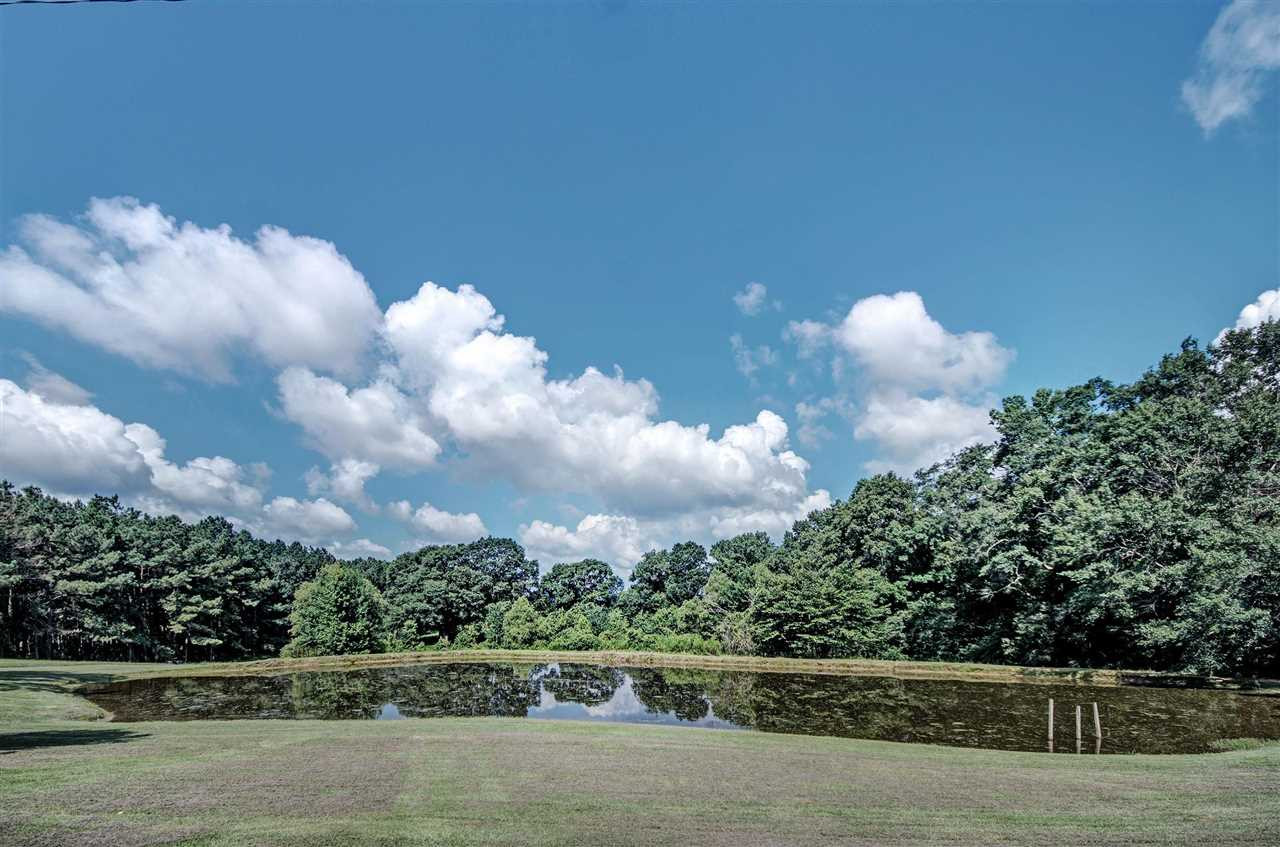 172 Charlie White Road Pelahatchie, MS 39145 - Photo 6 of 38 Photo 7