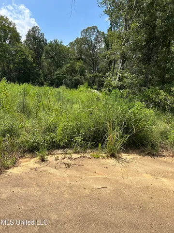 $35,000 | 0 Sartoris Cove, Terry, MS 39170