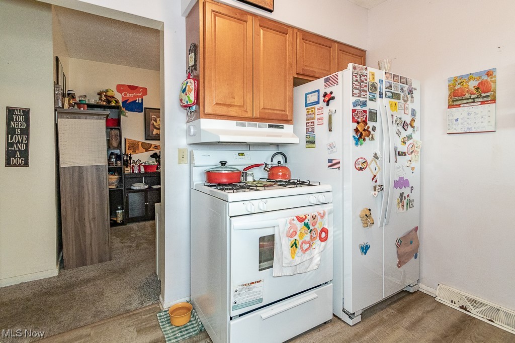 5612 Hopkins Road Mentor, OH 44060 - Photo 10 of 21 Kitchen with carpet flooring and white appliances