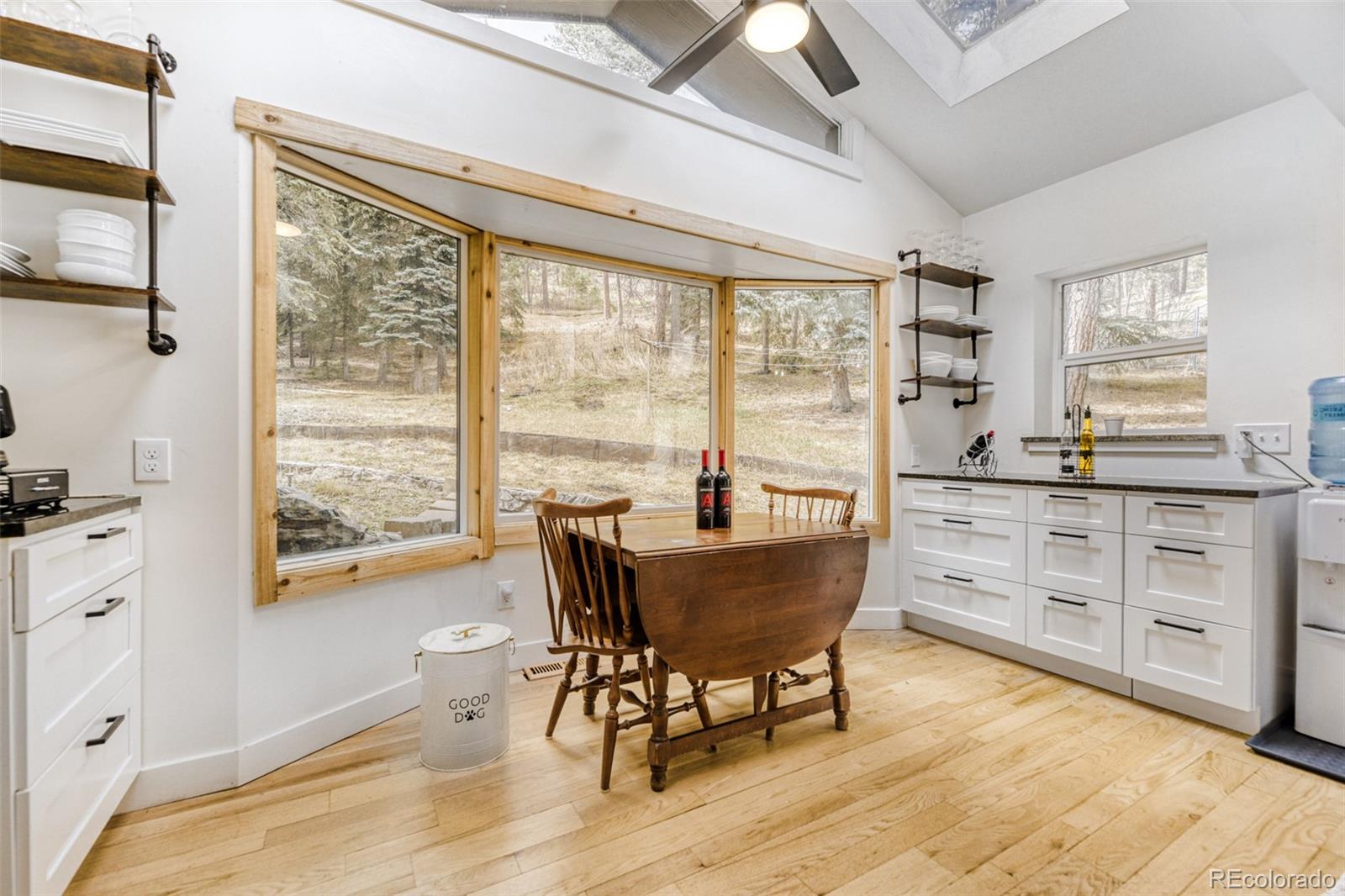 7489 South Turkey Creek Road Morrison, CO 80465 - Photo 12 of 28