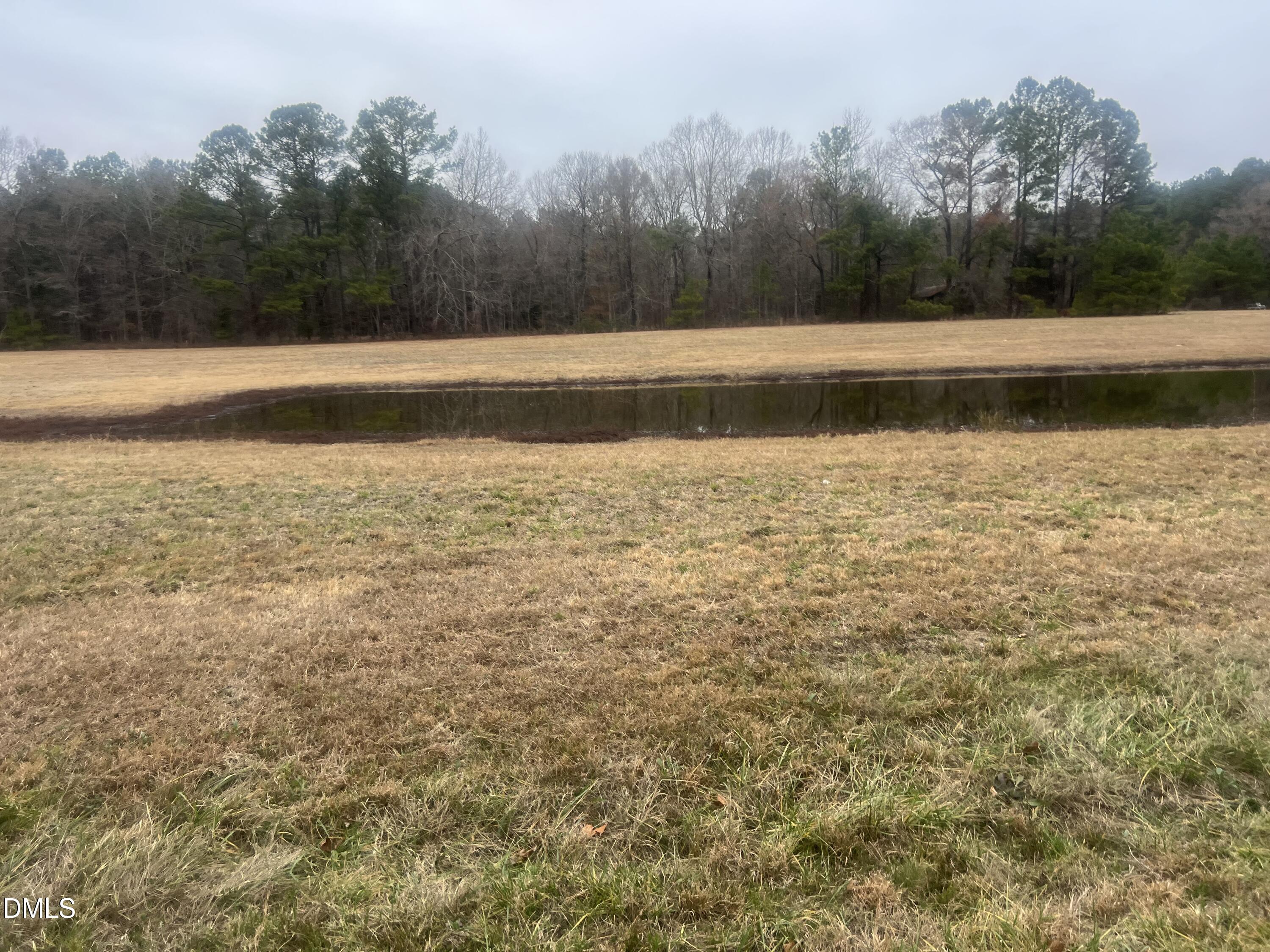 474 Indian Camp Road Smithfield, NC 27577 - Photo 9 of 9