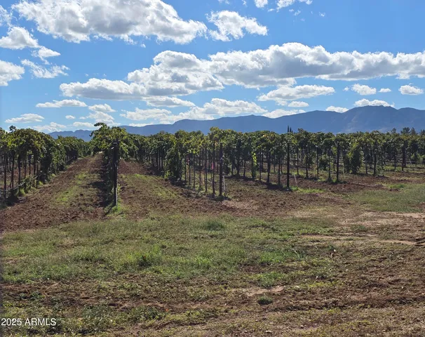 $249,000 | 924 West Sahuaro Road, Pearce, AZ 85625