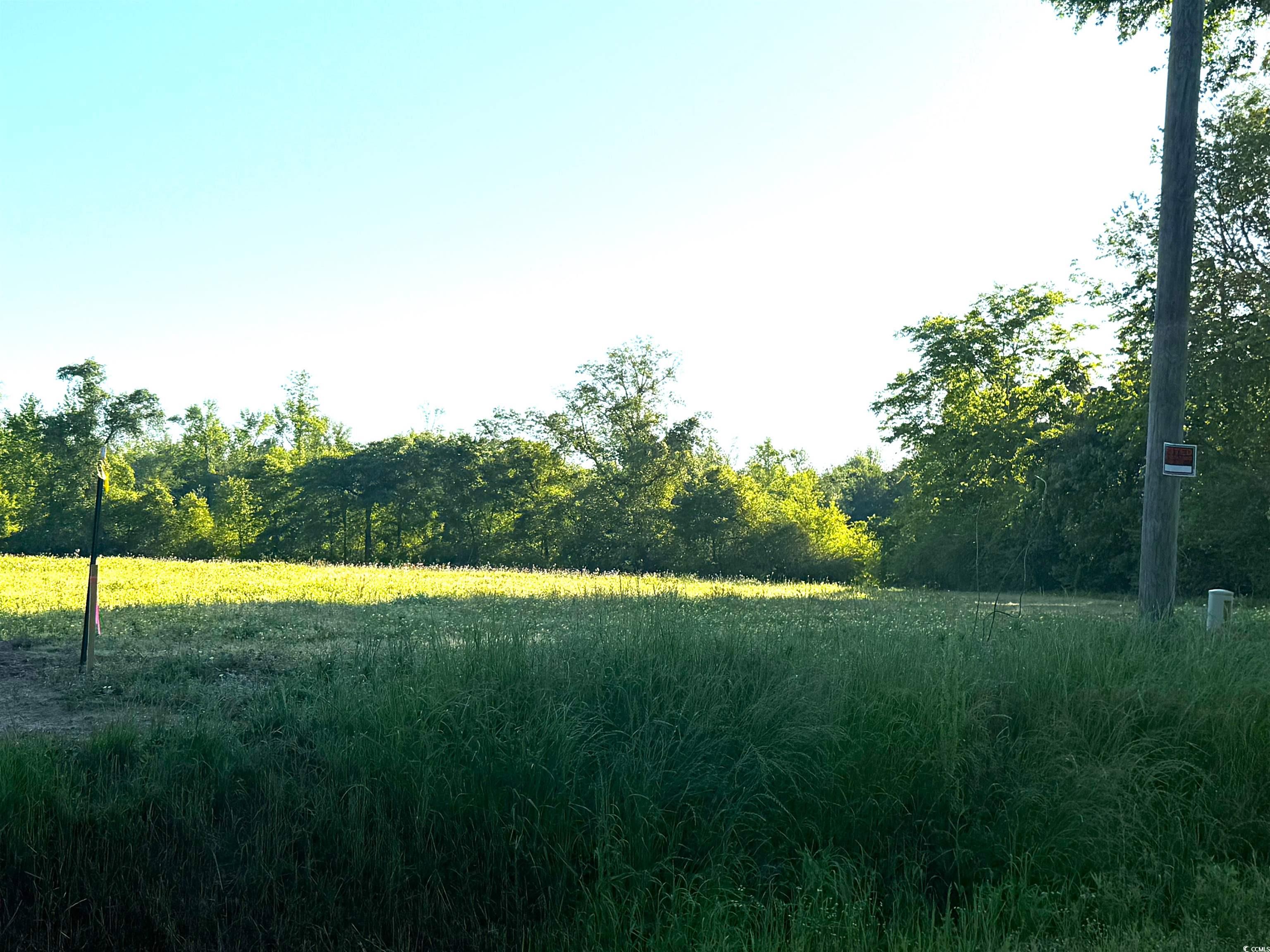 6 Borkowitz Road Scranton, SC 29591 - Photo 3 of 3