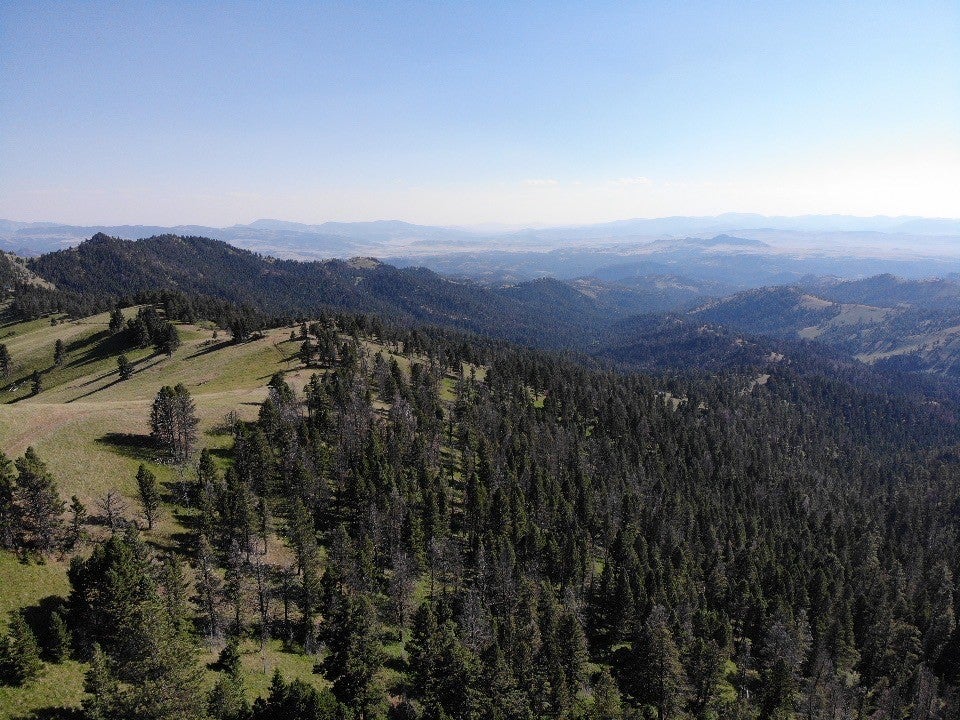 Tbd Outer Loop Road Cascade, MT 59421 - Photo 19 of 20 Gallery Image 19