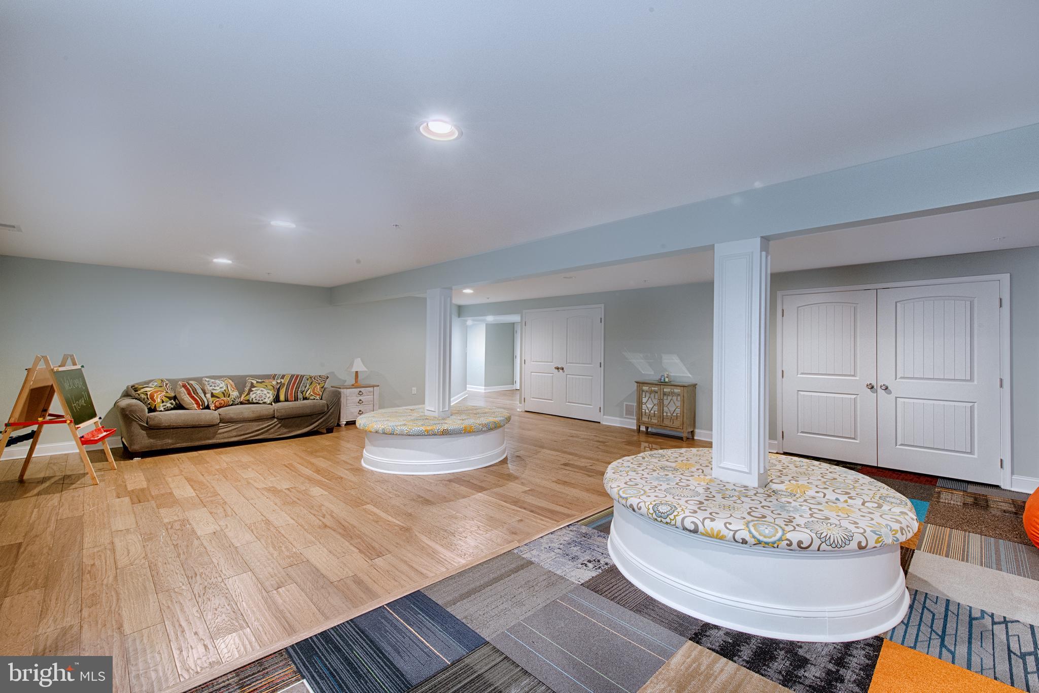 293 Henderson Road Bel Air, MD 21014 - Photo 36 of 43 Rec'ed light in fin LL. Dbl door entry to storage