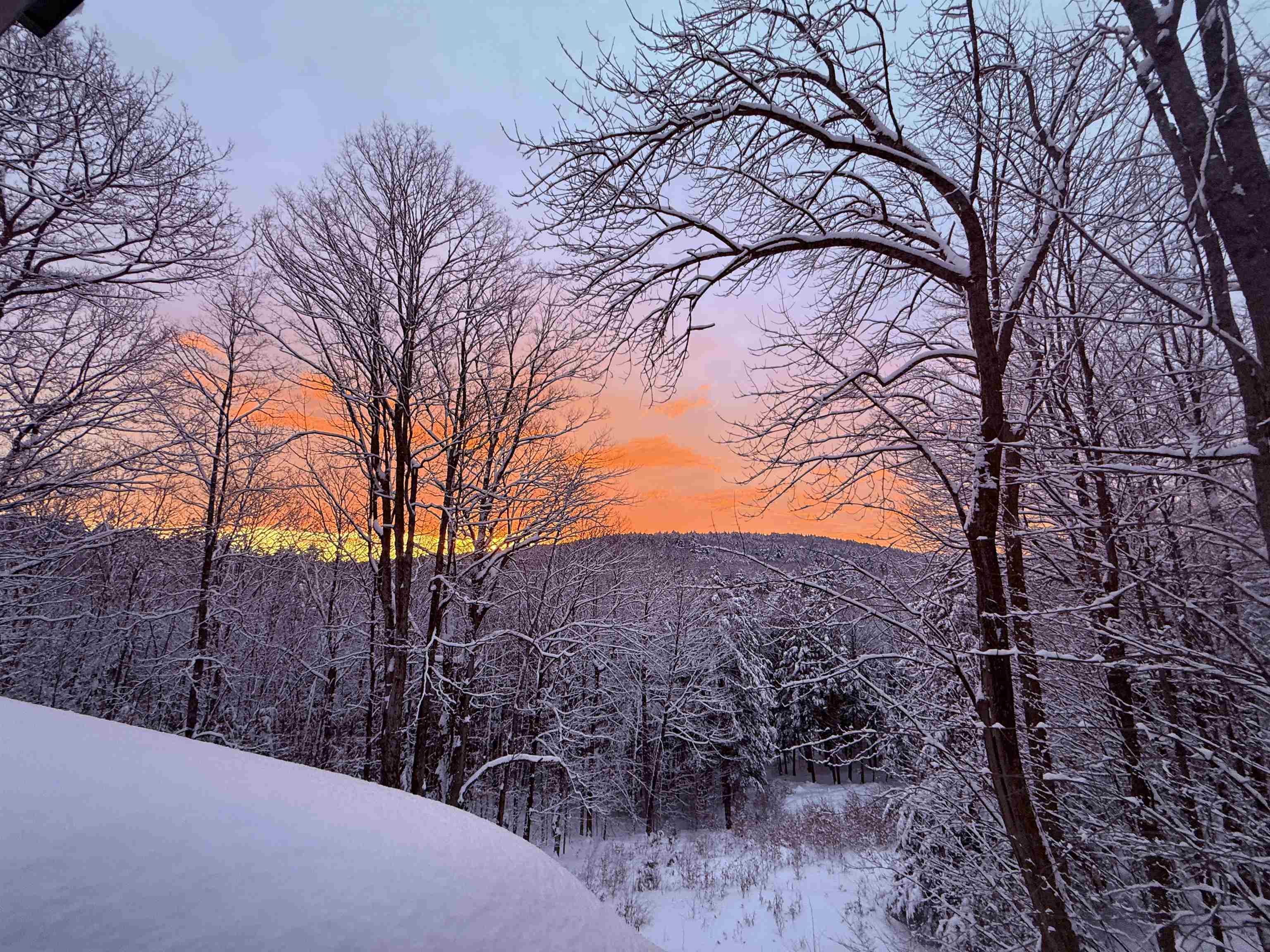 1877 Willard Road Hartford, VT 05059 - Photo 44 of 44