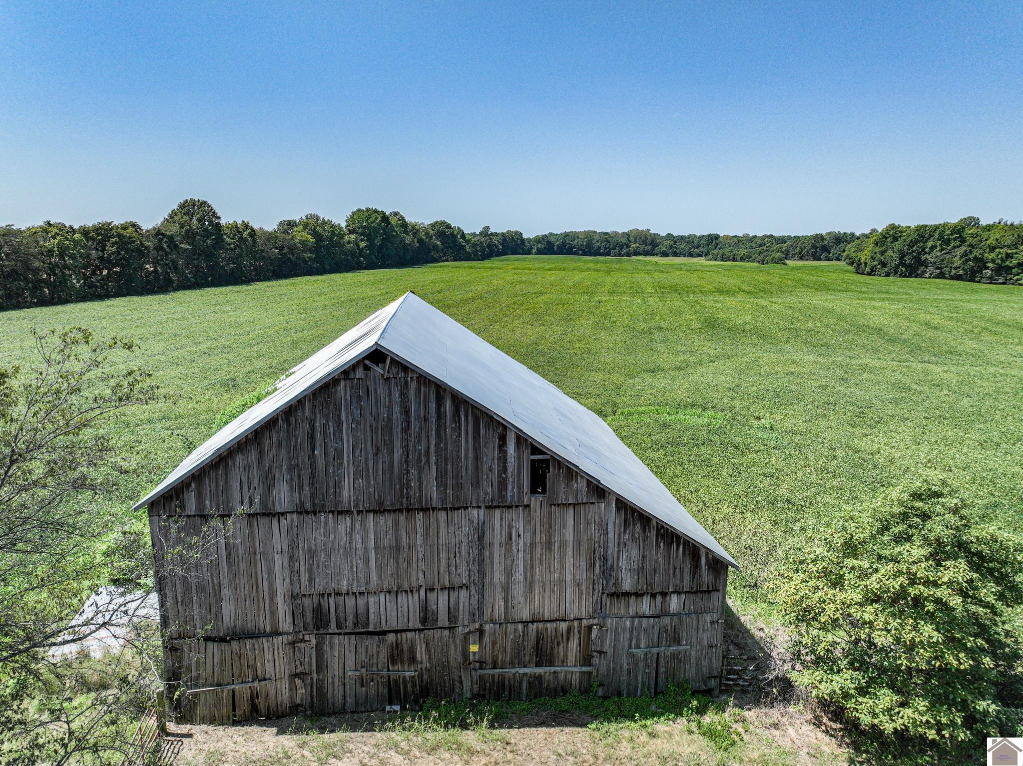 0 Steve Denton Road Barlow, KY 42024 - Photo 2 of 6 Photo 2