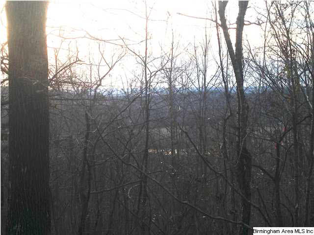 45 County Road, Unit 32 Bremen, AL 35033 - Photo 3 of 9