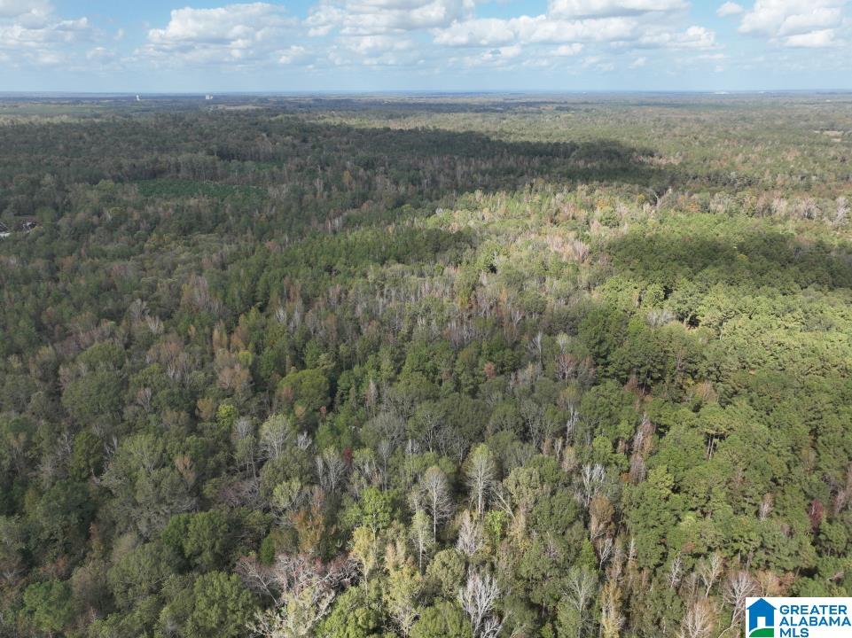 119 Plantation Road, Unit 1 Hope Hull, AL 36043 - Photo 20 of 35