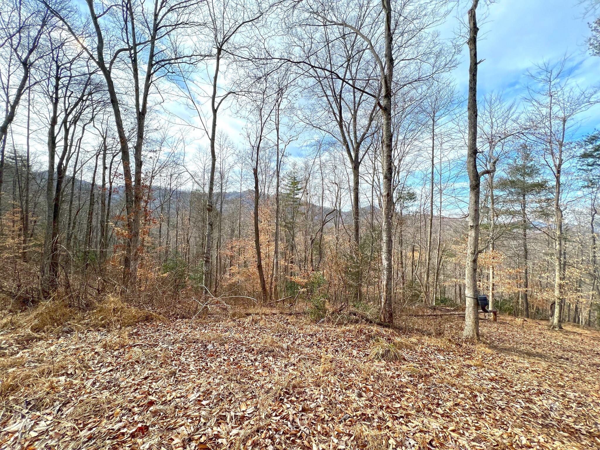 Tbd Anderson Branch Road Marshall, NC 28753 - Photo 1 of 20 a backyard of a house with lots of green space