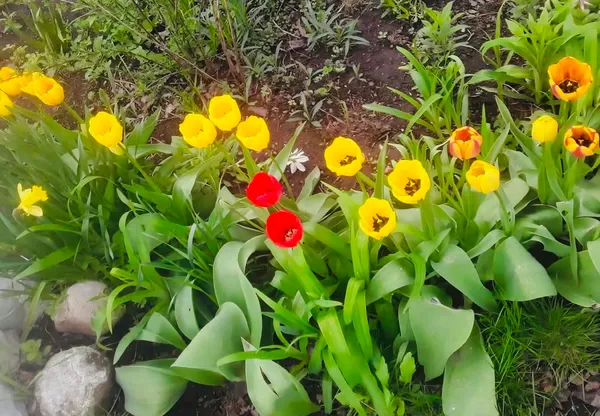 $274,900 | 16 Jefferson Avenue, Lunenburg, VT 05906