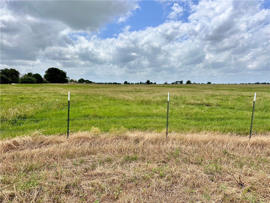 Tbd Alexander Road Bryan, TX 77808 - Photo 2 of 8