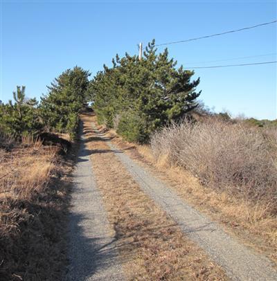 27 Priest Road Truro, MA 02666 - Photo 11 of 15 Additional Photo