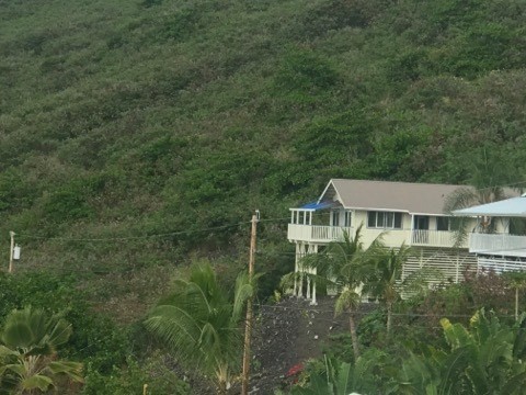 186 Guava Road Captain Cook, HI 96704 - Photo 4 of 11 Gallery Image 4