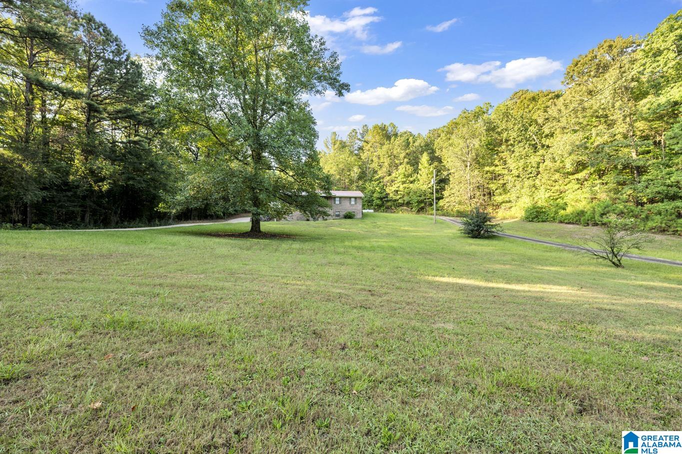 610 Sellers Hollow Road Dora, AL 35062 - Photo 3 of 31 Gallery Image 3
