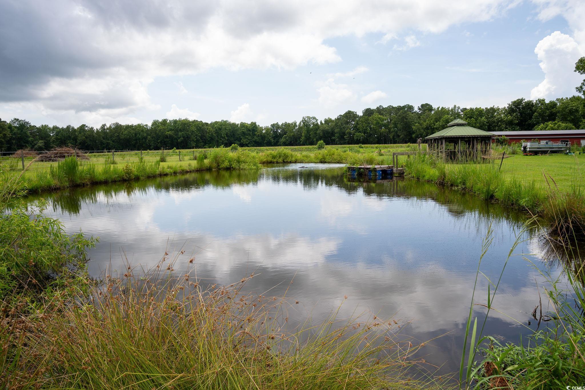 1165 Highway 9 Business Loris, SC 29569 - Photo 6 of 35