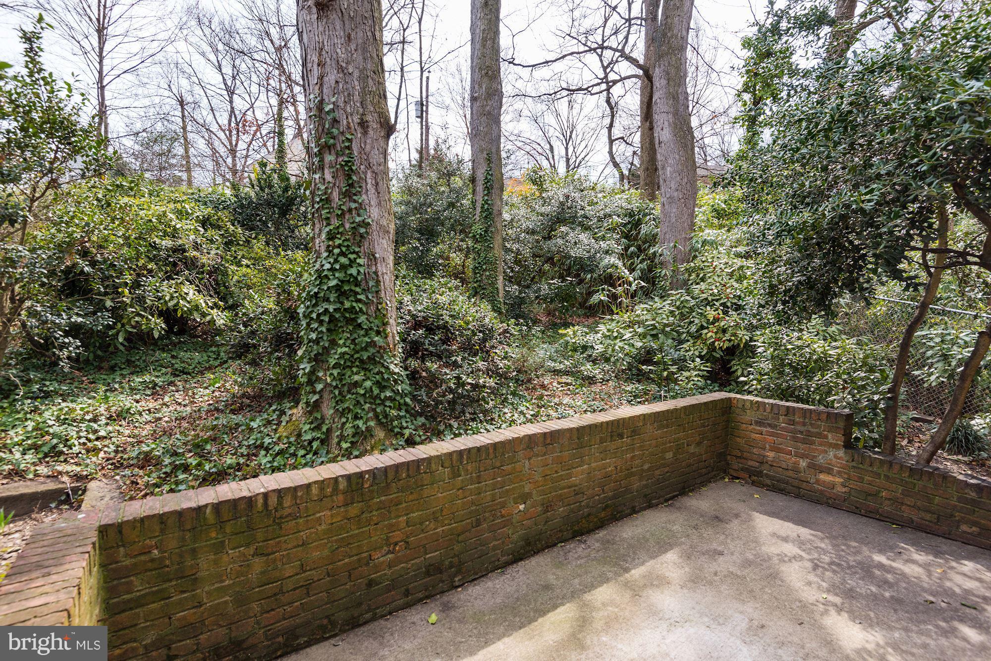 3707 Cameron Mills Road Alexandria, VA 22305 - Photo 26 of 30 Exterior (Rear)