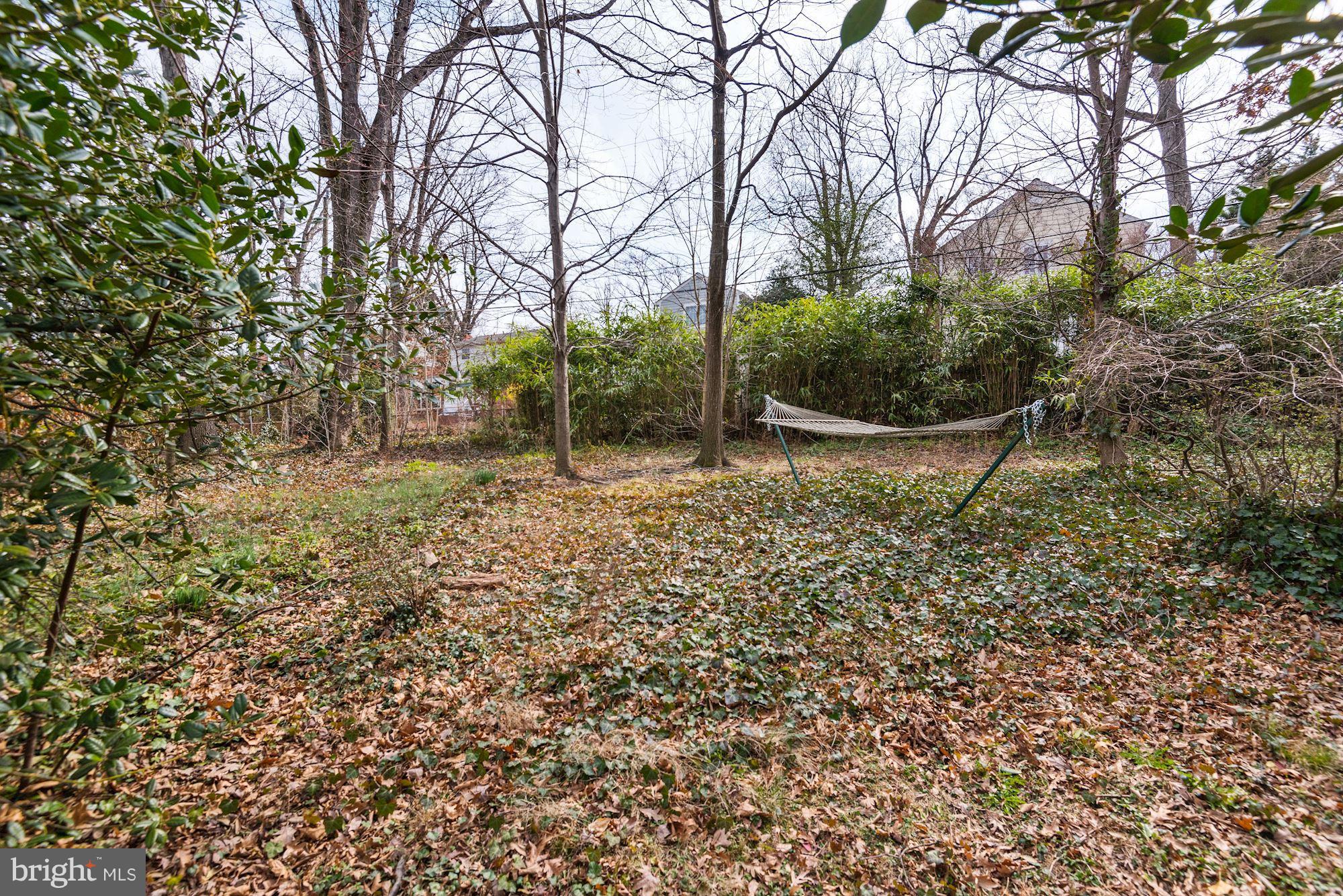 3707 Cameron Mills Road Alexandria, VA 22305 - Photo 28 of 30 Exterior (General)