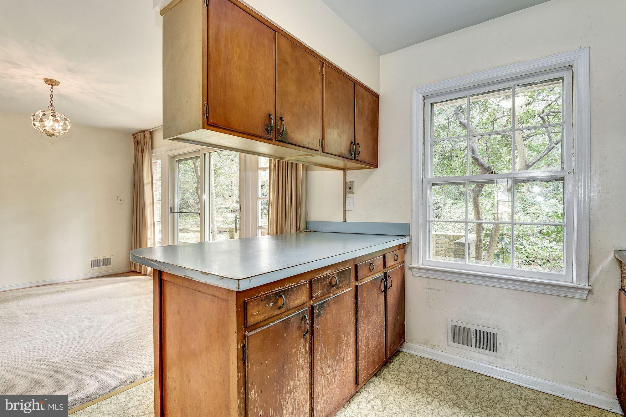 3707 Cameron Mills Road Alexandria, VA 22305 - Photo 10 of 30 Kitchen