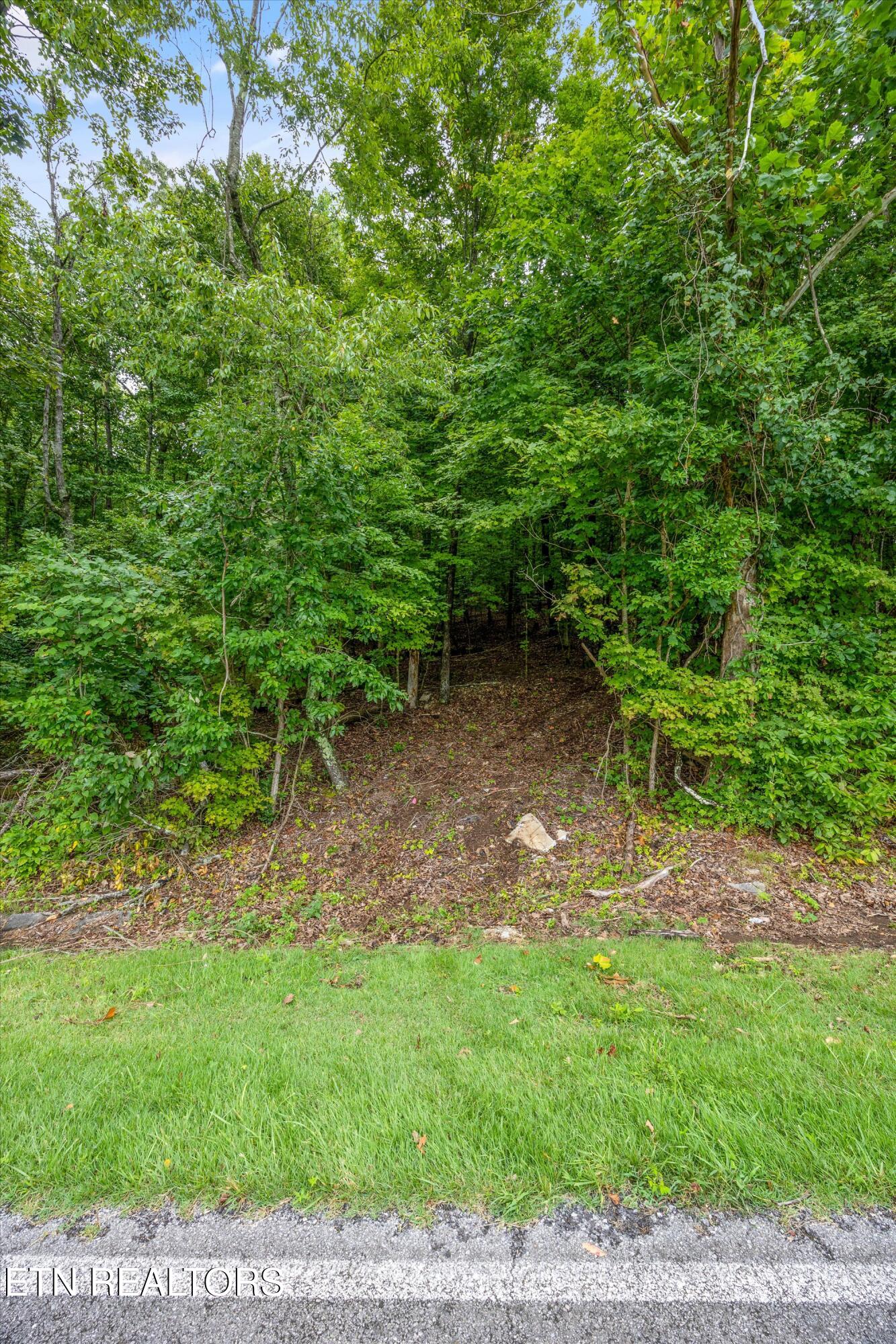 0 Sugarlimb Road Lenoir City, TN 37771 - Photo 13 of 13 13-Sugarlimb Rd05