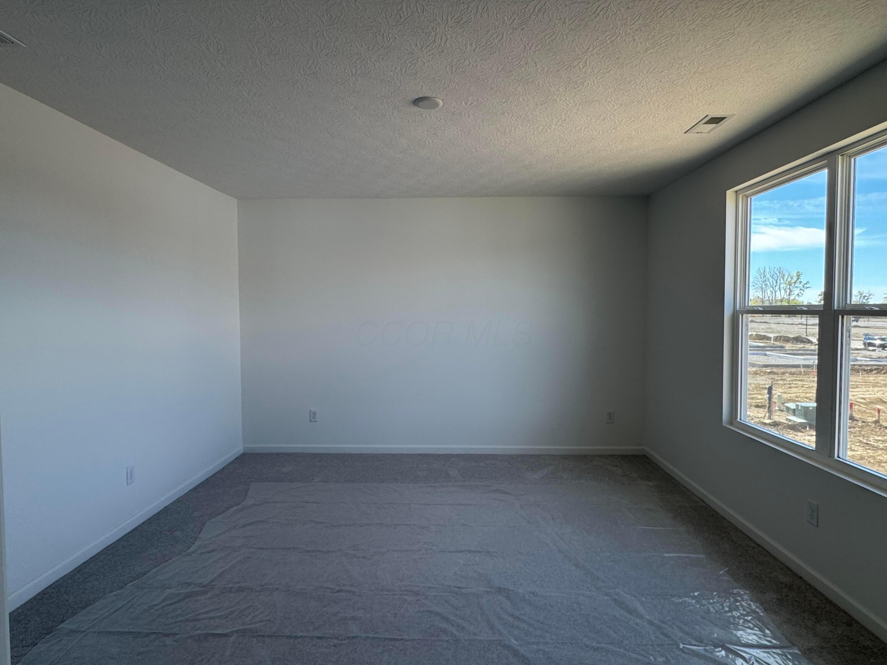 295 Rye Street, Unit LOT 118 Galloway, OH 43119 - Photo 33 of 49 Owners Suite