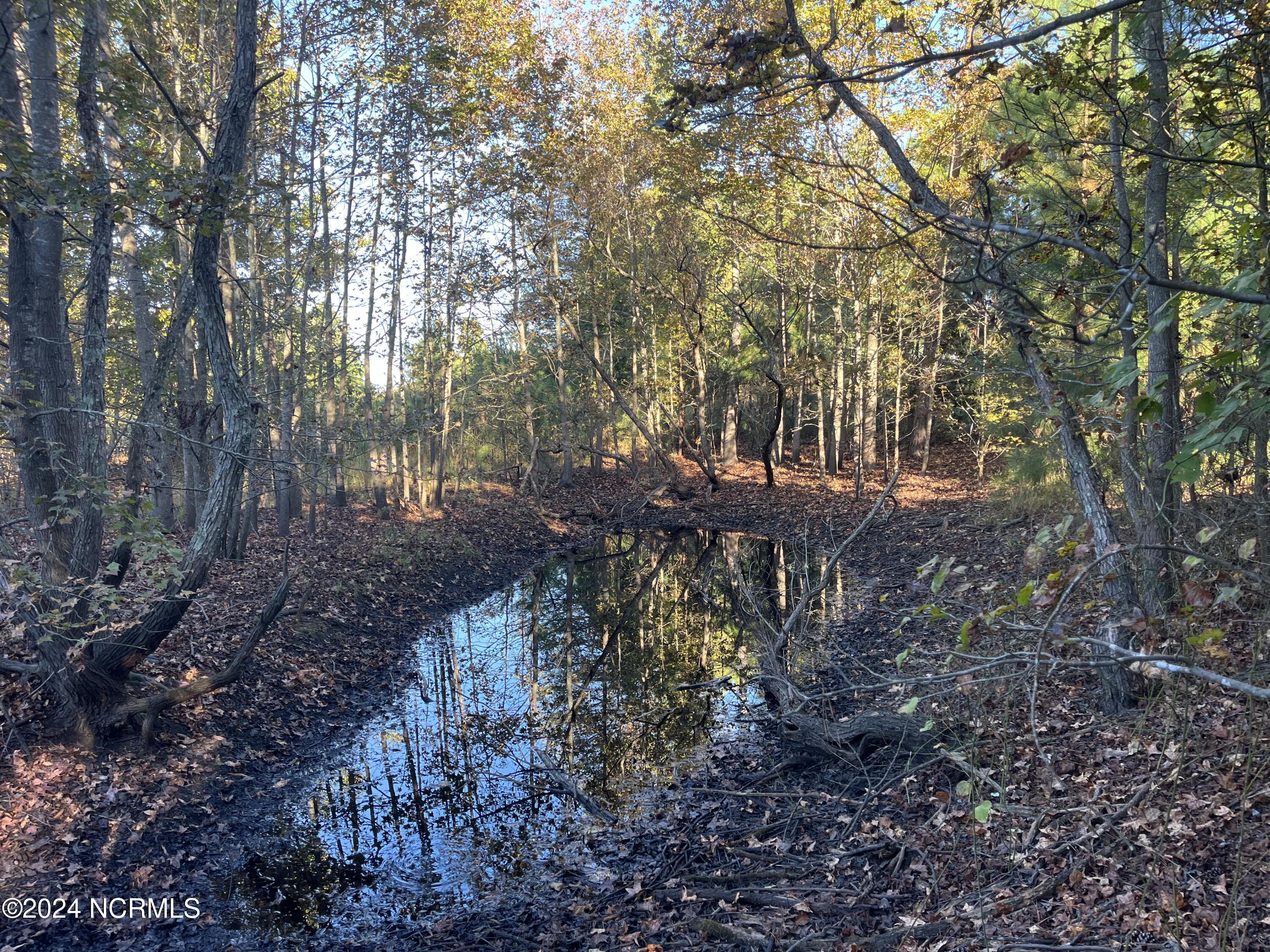 Tbd McDuffie Road Biscoe, NC 27209 - Photo 5 of 9 8