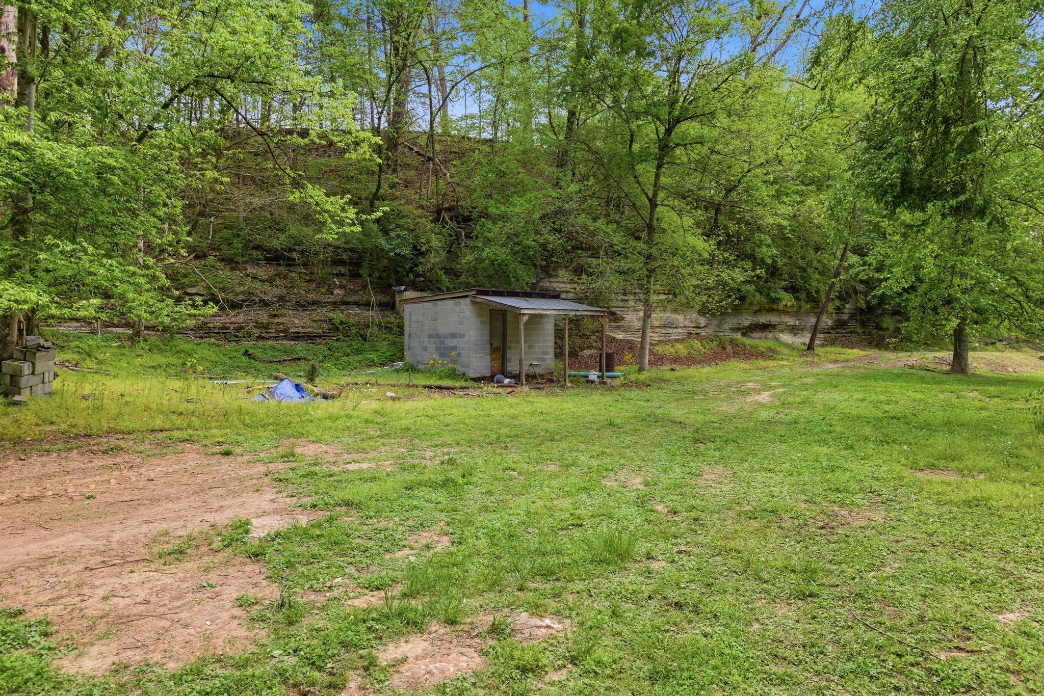 580 Defeated Creek Road Centerville, TN 37033 - Photo 55 of 71 a backyard of a house with lots of green space