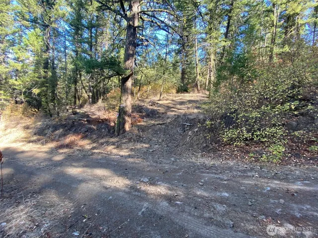 a view of outdoor space and yard