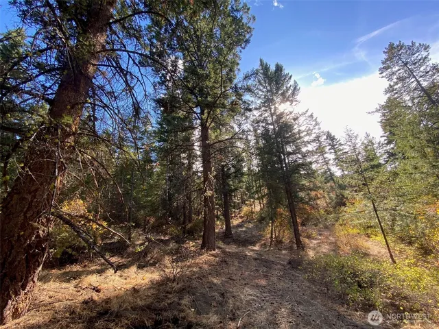 a backyard of a house