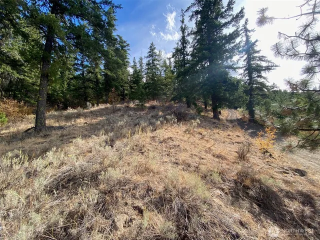 a view of a yard with trees