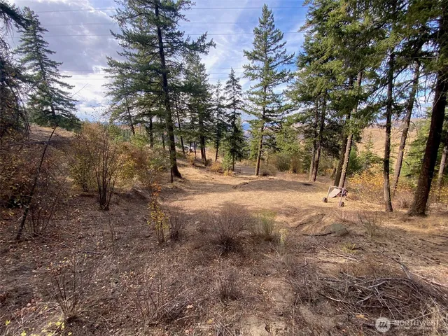 a view of outdoor space with trees