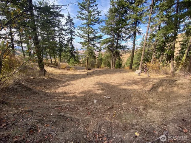 a view of dirt yard with a large tree