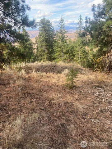 a view of a yard with a tree