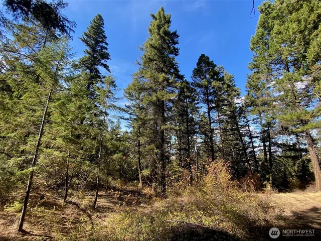 a view of a covered with snow in between