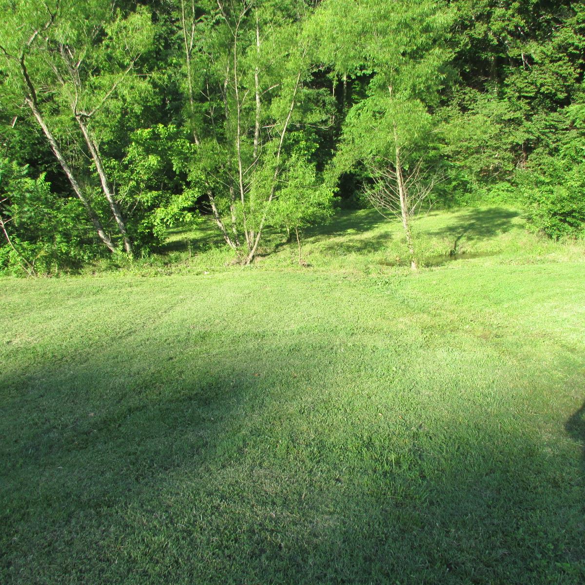 8655 Dry Creek Road Mount Pleasant, TN 38474 - Photo 1 of 16 Gallery Image 1