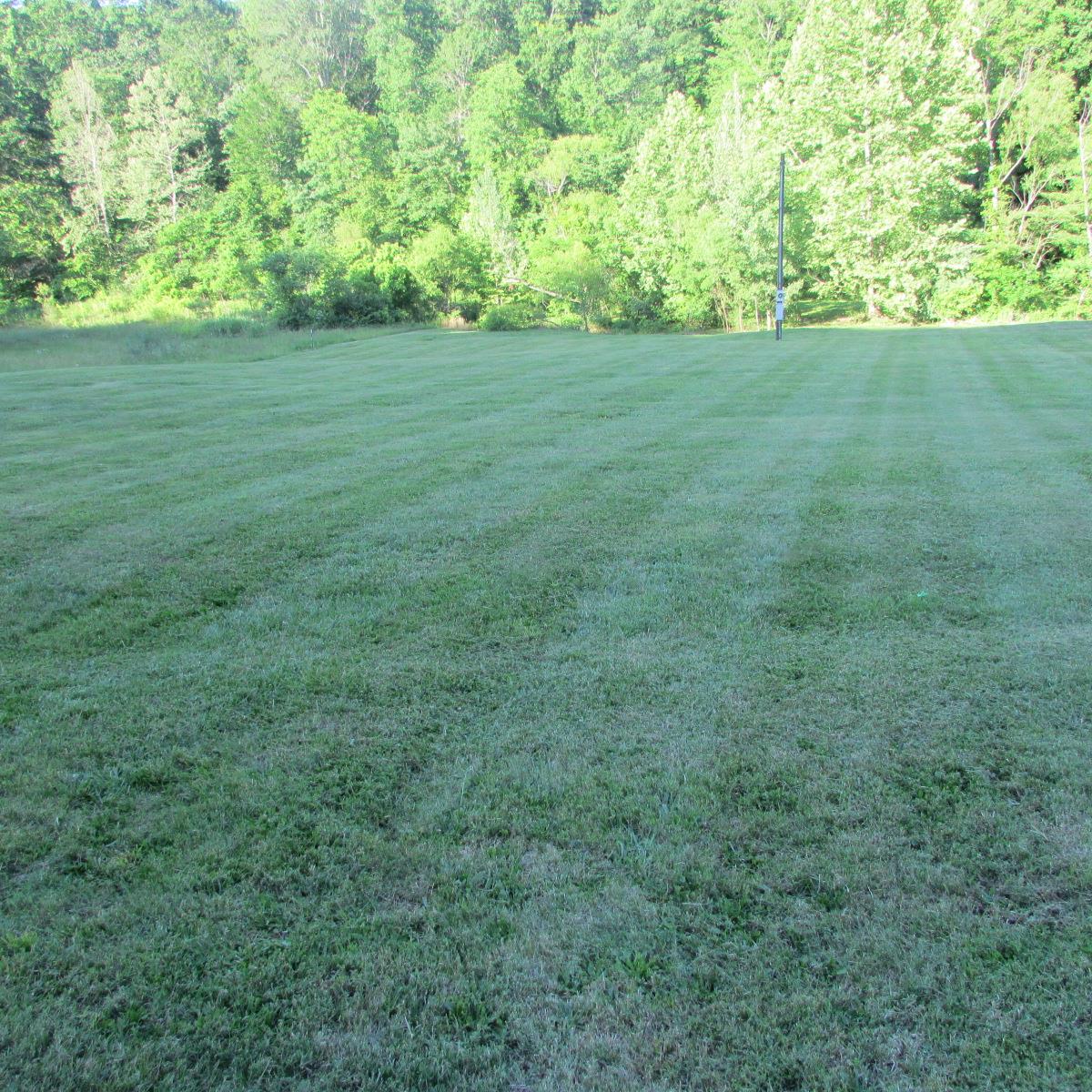 8655 Dry Creek Road Mount Pleasant, TN 38474 - Photo 12 of 16 Gallery Image 12