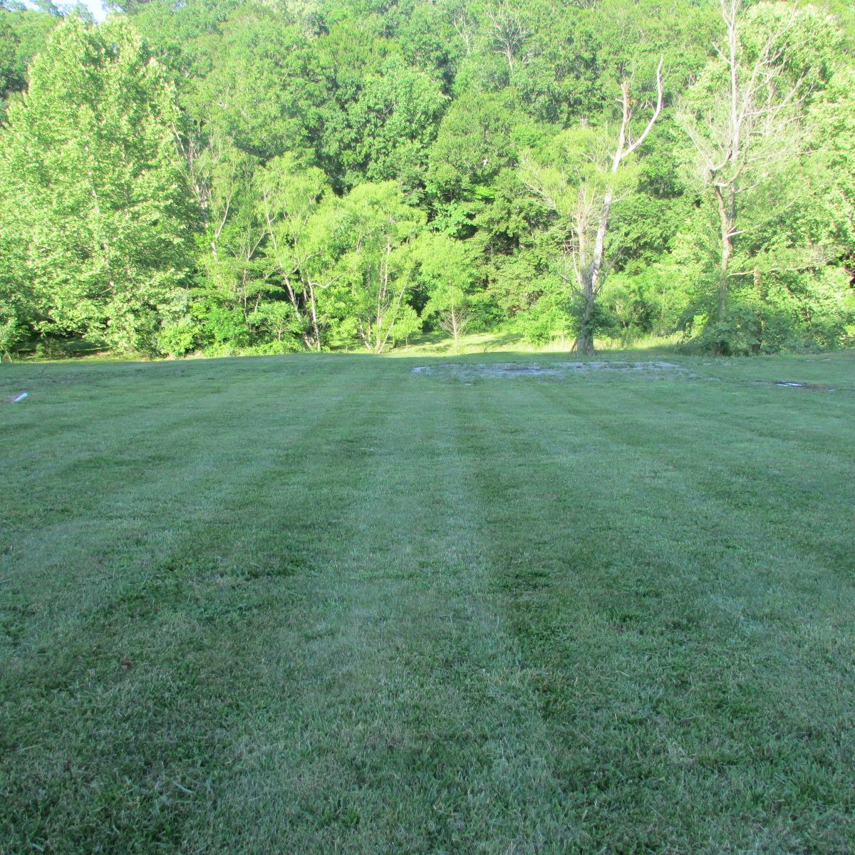 8655 Dry Creek Road Mount Pleasant, TN 38474 - Photo 15 of 16 Gallery Image 15