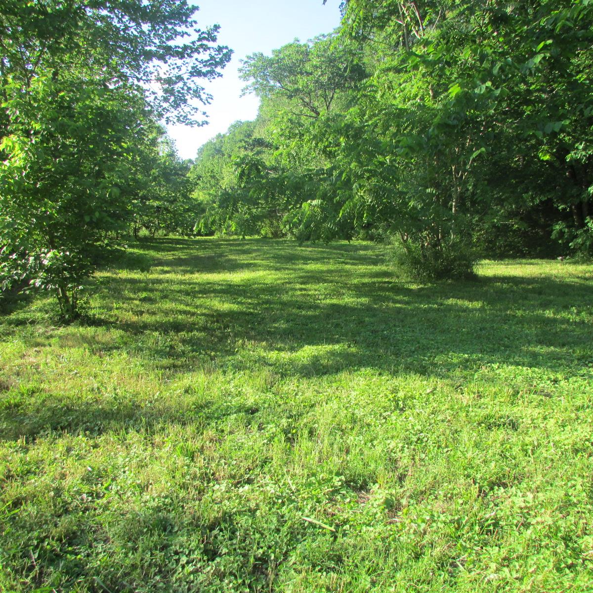 8655 Dry Creek Road Mount Pleasant, TN 38474 - Photo 5 of 16 Gallery Image 5