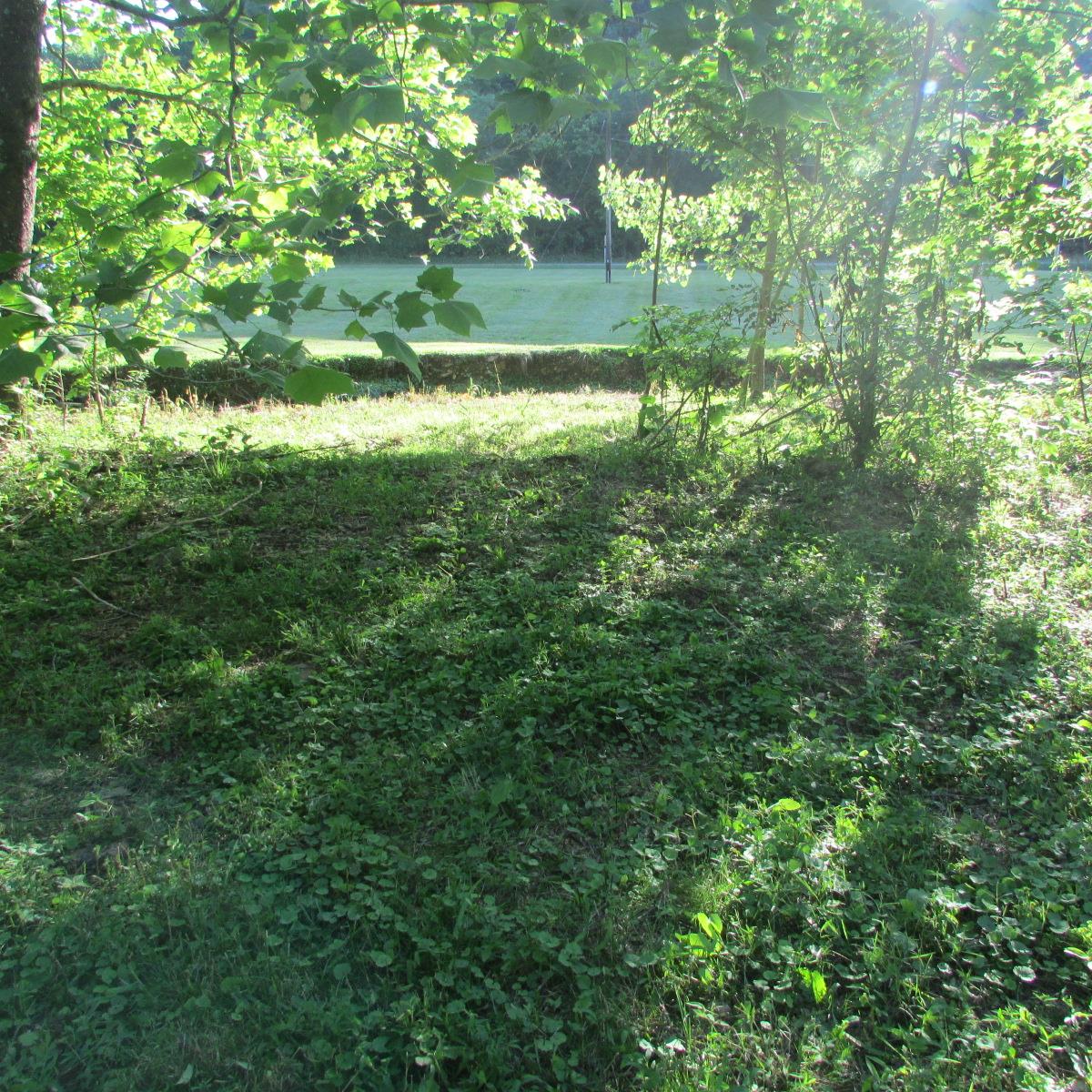 8655 Dry Creek Road Mount Pleasant, TN 38474 - Photo 7 of 16 Gallery Image 7